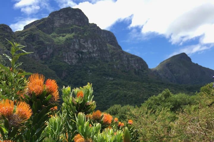 Kirstenbosch Gardens Self-Guided Audio Tour — Botany Expert Walking Route