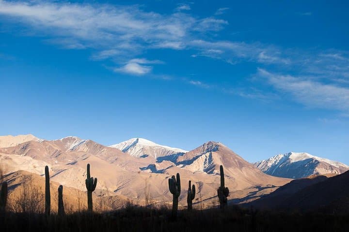Cafayate Wine Road Adventure: Half-Day Wineries, Tastings & Vine Museum photo 4