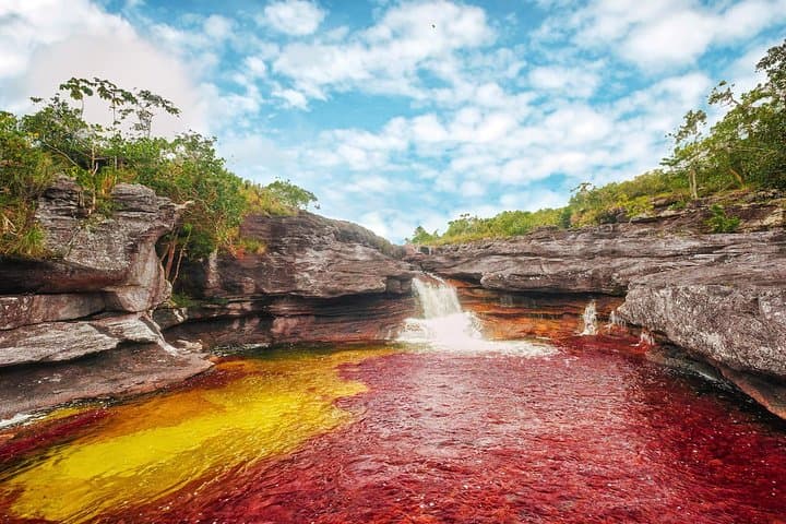 Caño Cristales & La Macarena: 4-Day River and Jungle Adventure from Bogotá