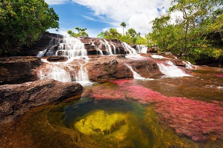 Caño Cristales & La Macarena: 4-Day River and Jungle Adventure from Bogotá photo 2