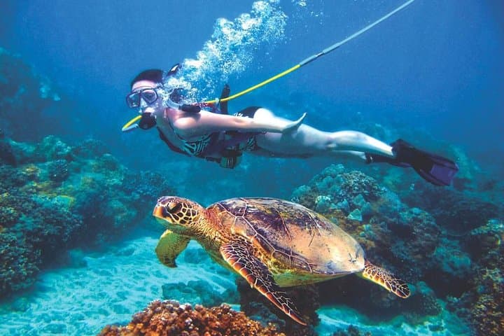 Red Sea Full-Day Snorkel & Utopia Island Glass-Bottom Cruise from Hurghada photo 2
