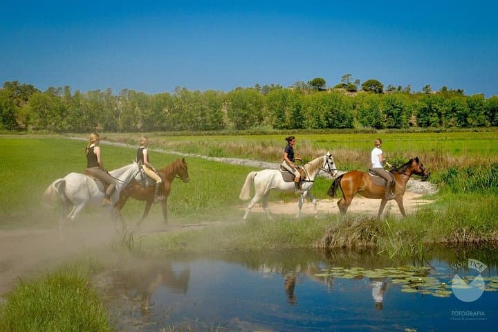 Horseback Riding on Comporta Beach — Horses In The Sand (Melides)