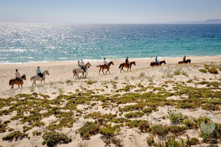 Horseback Riding on Comporta Beach — Horses In The Sand (Melides) photo 2
