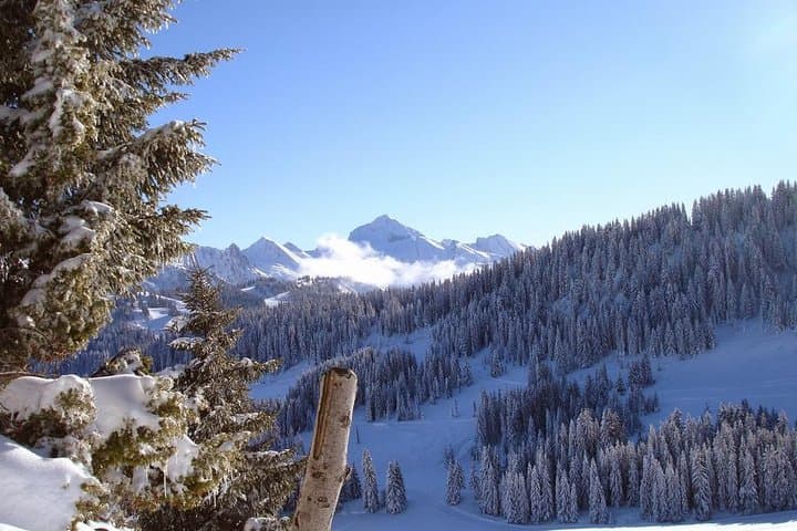 Exotic Manali Package: 4-Day Manali, Solang Valley & Kullu Adventure