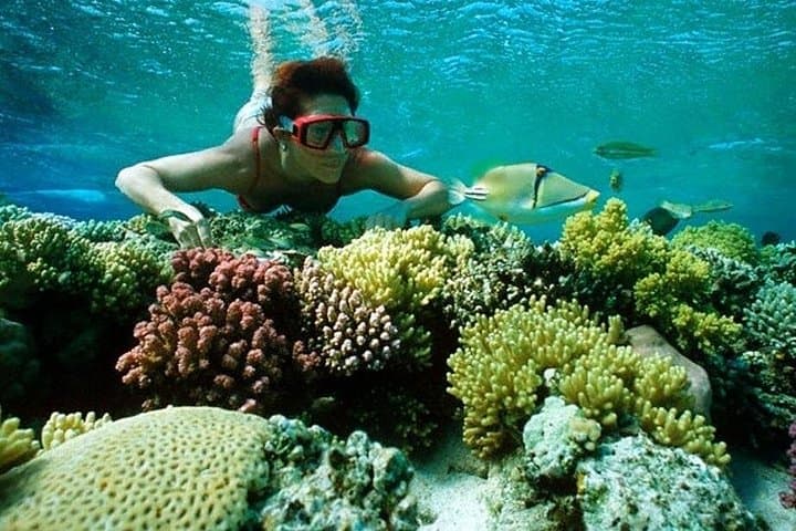Full-Day Snorkeling from Luxor to Safaga: Utopia Island & Red Sea Reefs photo 1