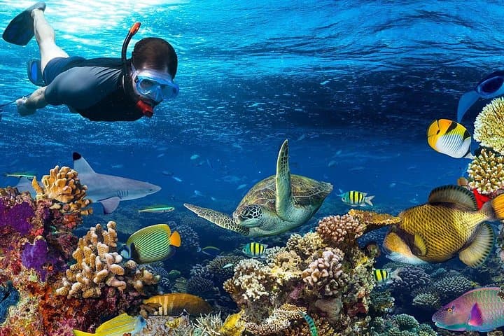 Full-Day Snorkeling from Luxor to Safaga: Utopia Island & Red Sea Reefs photo 2