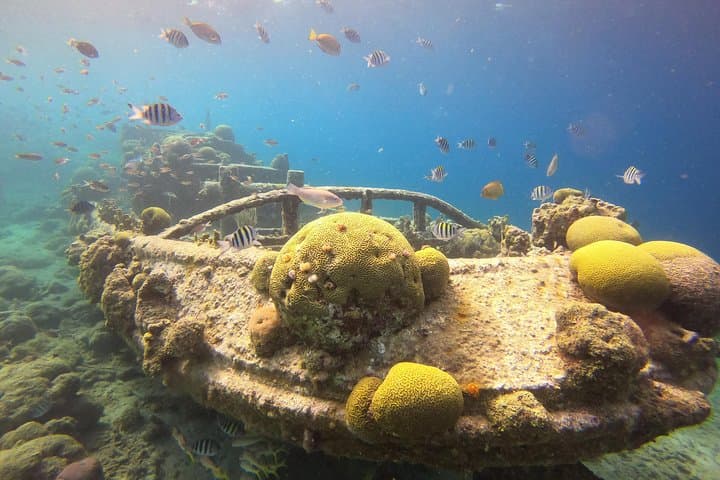 Snorkel Tour Curaçao: Jan Thiel Reef Exploration and Sightseeing