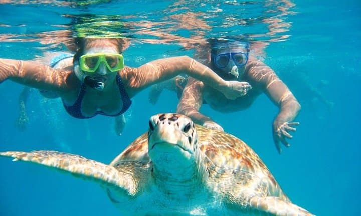 Snorkel Tour Curaçao: Jan Thiel Reef Exploration and Sightseeing photo 2