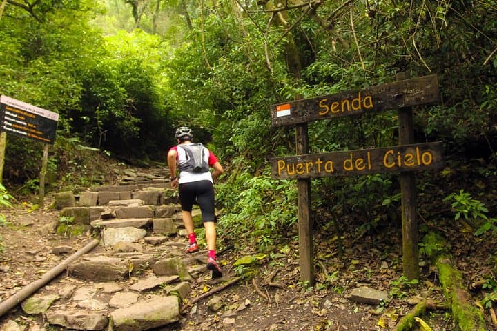 Yungas & El Rey National Park 4x4 Day Tour from Salta — Rivers, River Otters and Montane Jungle photo 6