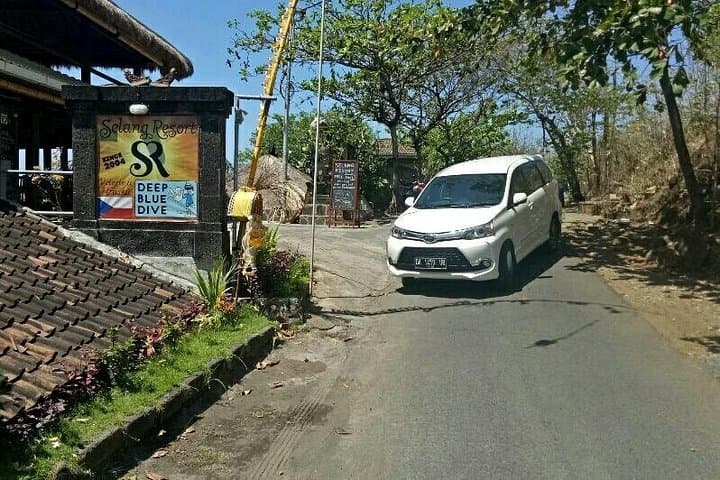 Design Your Dream Day in Bali: Private Ubud Tours to Waterfalls, Temples & Rice Terraces photo 2