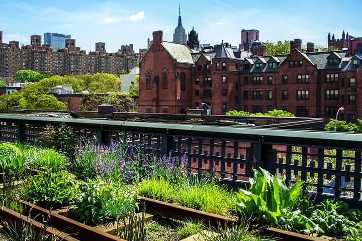 High Line & Chelsea Market Walking Tour: History, Views & Food in 3 Hours photo 2
