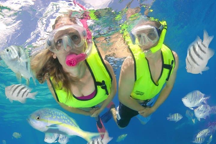 Roatán Zipline, Horseback & Snorkel Adventure: Zip, Meet Sloths, and Swim the Reef photo 2