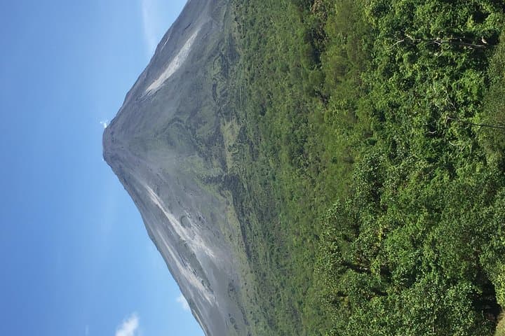 Arenal Volcano Hike & Baldi Hot Springs — Observatory Trails, Buffet Lunch and Mineral Pools