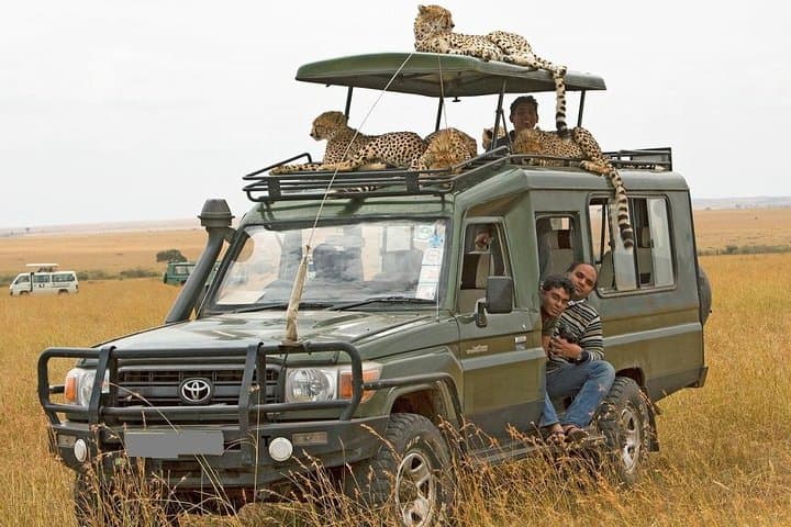 8-Day Masai Mara Wildebeest Migration Safari: Best Time, Itinerary & Tips photo 3