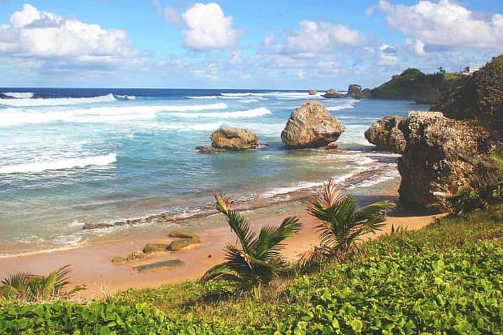 Barbados Private Custom Island Tour: Tailored Island Highlights from Bridgetown photo 4