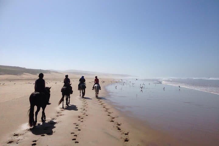 Essaouira Beach Horse Ride: 2-Hour Diabat Coastal & Dunes Experience photo 2