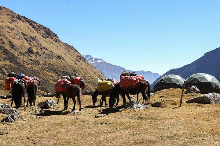 Salkantay Trek to Machu Picchu: 5-Day Private Trek from Cusco