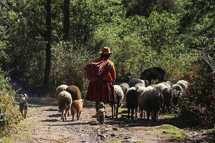 Lares Trek Private Service: 4-Day Off-Grid Andes Trek to Machu Picchu