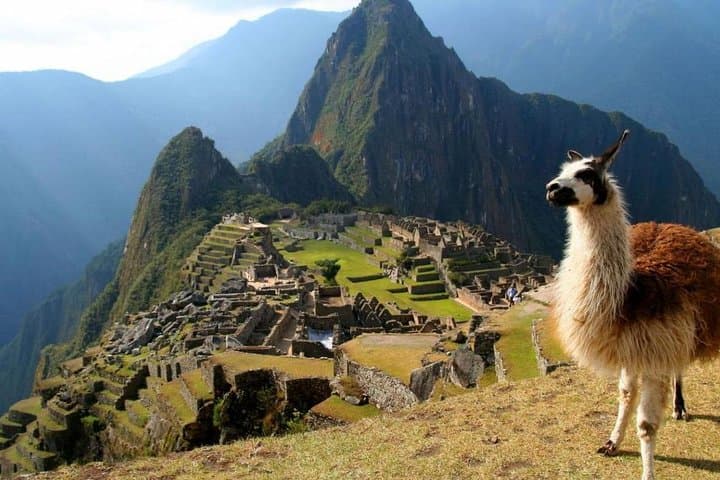 Private Machu Picchu Full-Day Tour from Cusco: Train, Guide, and Bus