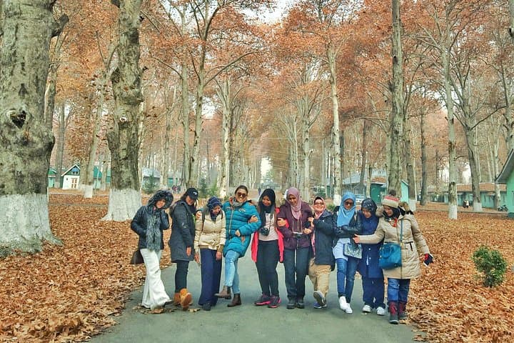 Kashmir Paradise on Earth: 6-Day Srinagar, Gulmarg, Sonamarg & Pahalgam Tour photo 2