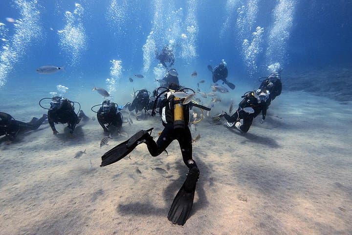 Discover Scuba Diving in Lanzarote: Playa Blanca Introductory Bay Dive photo 2