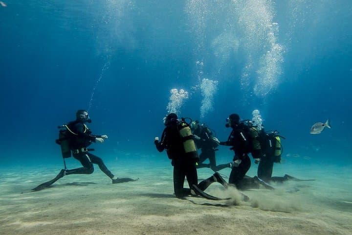 Discover Scuba Diving in Lanzarote: Playa Blanca Introductory Bay Dive photo 3