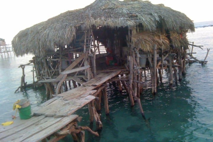Black River Safari, Y.S. Falls & Pelican Bar Day Trip from Negril photo 2
