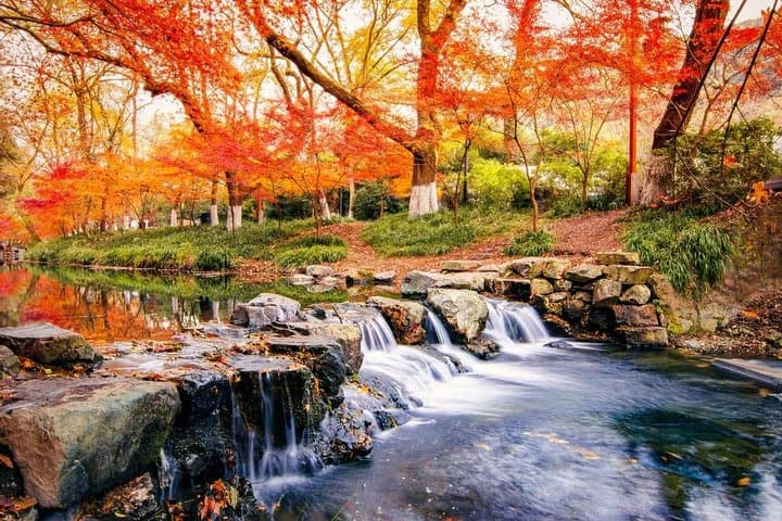 Hangzhou Nine Creeks Hike & Longjing Tea Tasting — Half-Day Tour