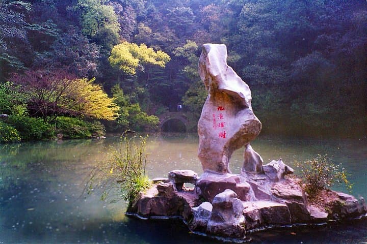 Hangzhou Nine Creeks Hike & Longjing Tea Tasting — Half-Day Tour photo 5