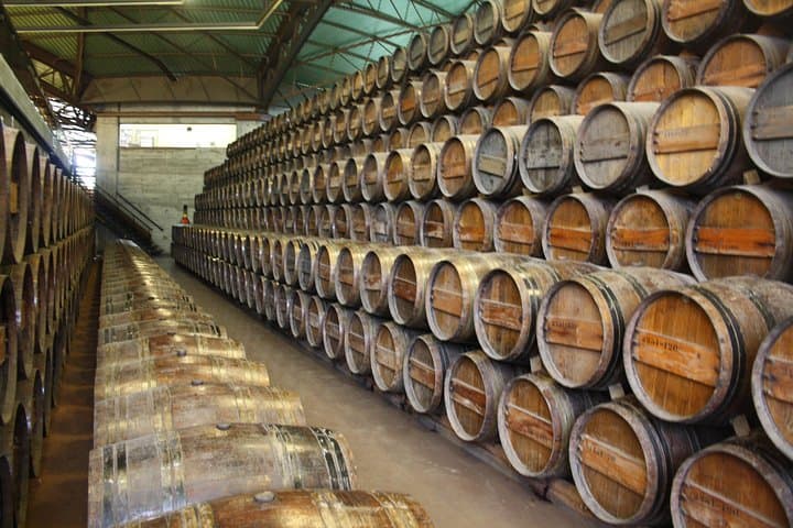 Private Arrabida Park and Lisbon Wine Tasting Tour: Christ the King, Bacalhoa & Vineyard Tasting