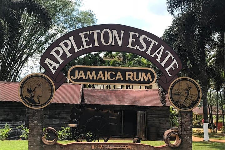 Appleton Rum, YS Falls & Black River: Negril Full-Day Rum, Waterfall, Boat & Horseback Adventure