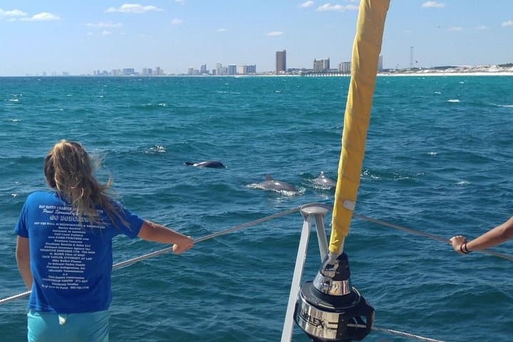 Panama City Beach Dolphin Sightseeing Sail — Catamaran Cruise from Grand Lagoon photo 1