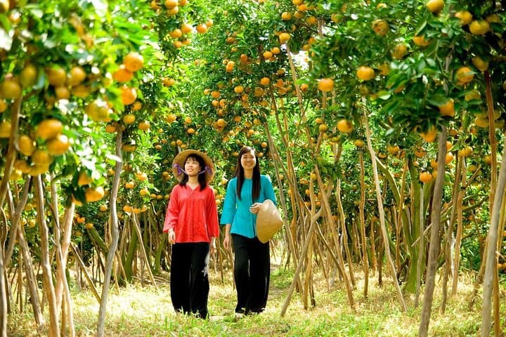 Mekong Delta One-Day Tour from Ho Chi Minh: My Tho & Ben Tre Day Trip photo 4
