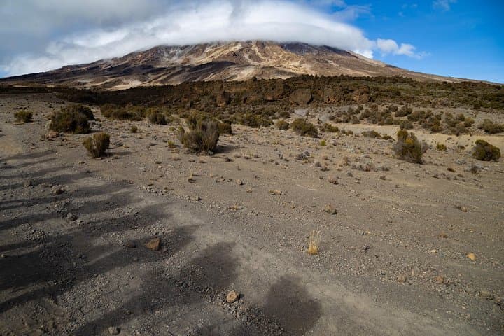 Conquer Kilimanjaro: 6-Day Lemosho Route Guide photo 4