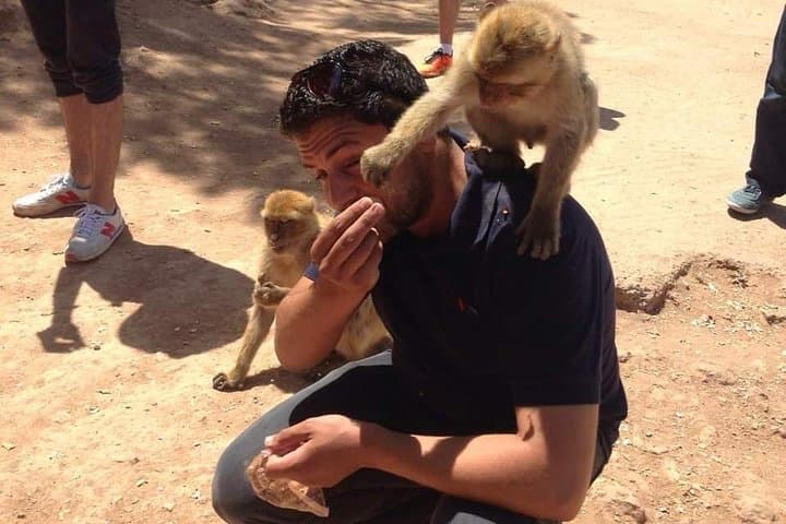 Ouzoud Waterfalls Day Trip from Marrakech — Swim, Hike and See Wild Monkeys photo 6