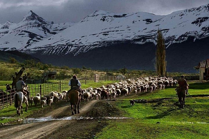 Pioneros Navigation and Trekking: Perito Moreno Glacier Boat, Estancia Lunch & Forest Walk photo 4