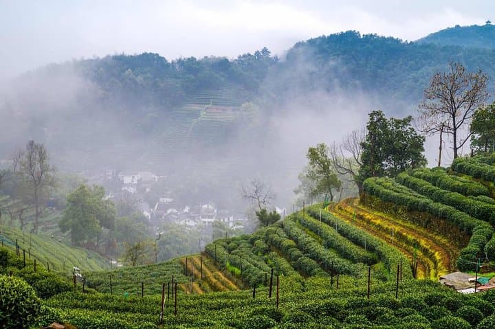 Custom Hangzhou Private Day Tour: West Lake, Lingyin Temple & Longjing Tea Experience photo 4