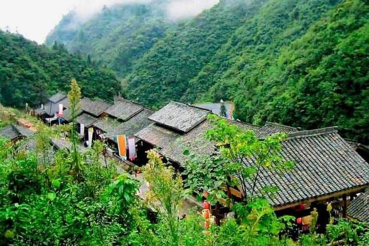 Half-Day Private Hangzhou Highlights: West Lake, Lingyin & Longjing Tea Fields photo 4