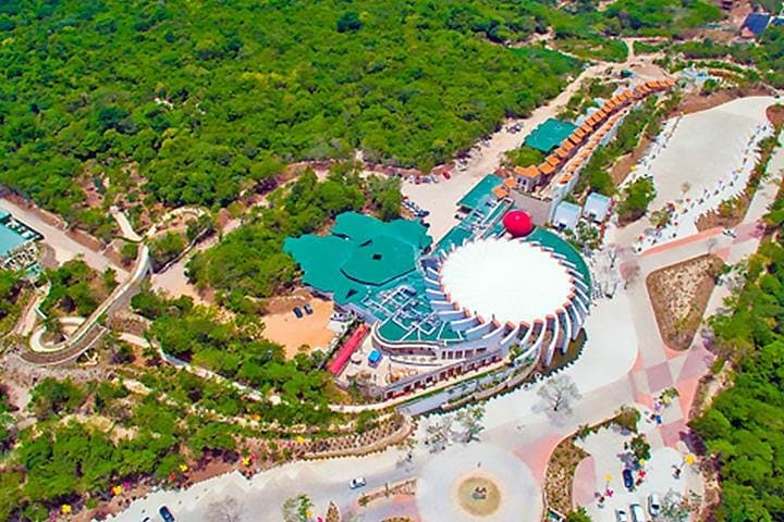 Xenses Reality Park: Playa del Carmen Half-Day Sensory Adventure with Round-Trip Transport photo 4