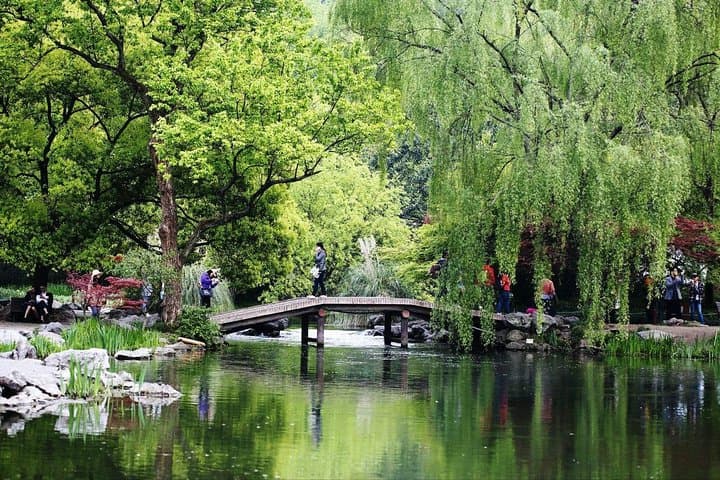 Custom Hangzhou Private Day Tour: West Lake, Lingyin Temple & Longjing Tea Experience photo 6
