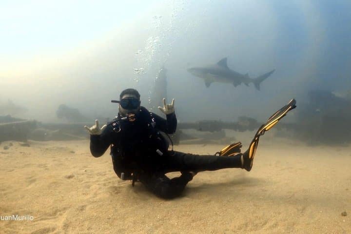 Scuba Diving Cabo Pulmo: Explore Mexico’s Living Coral Reef in the Sea of Cortez photo 5