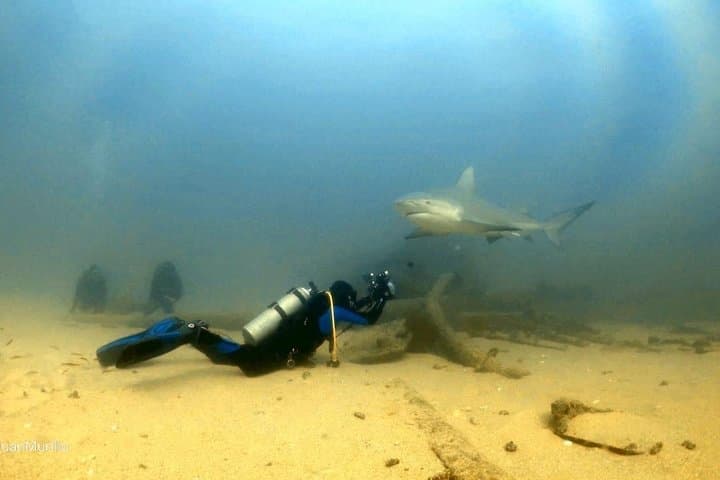 Scuba Diving Cabo Pulmo: Explore Mexico’s Living Coral Reef in the Sea of Cortez photo 6