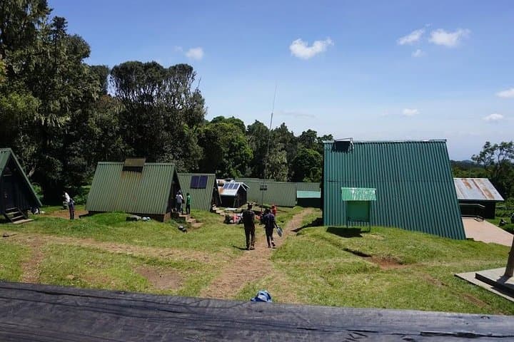 5-Day Kilimanjaro Climb: Marangu Route (Coca-Cola Route) from Moshi to Uhuru Peak photo 2