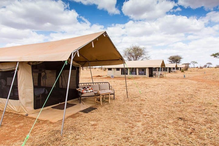 2-Day Safari to Tarangire & Ngorongoro Crater — Big Five in Two Days photo 1