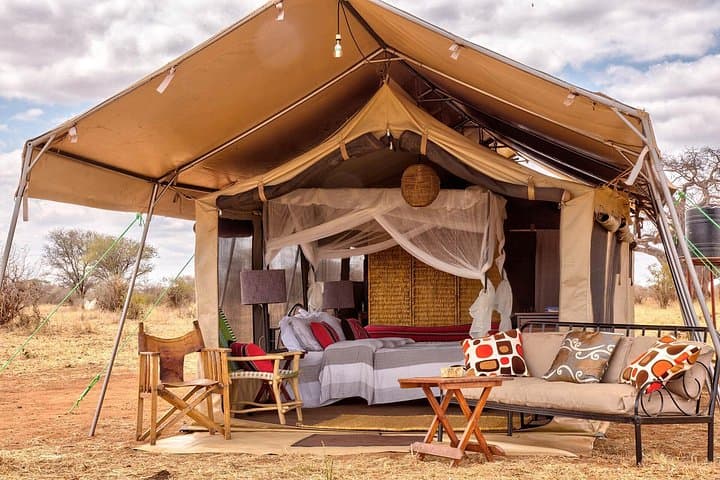2-Day Safari to Tarangire & Ngorongoro Crater — Big Five in Two Days photo 2
