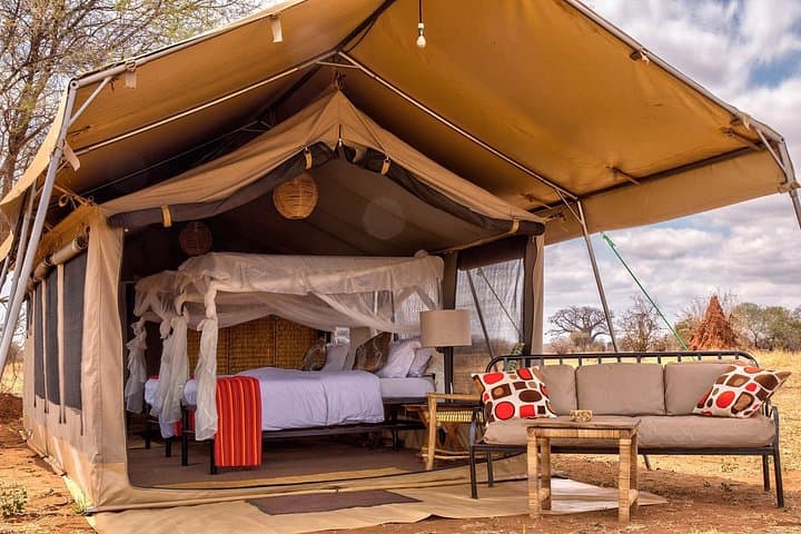 2-Day Safari to Tarangire & Ngorongoro Crater — Big Five in Two Days photo 3