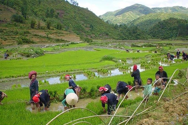 Sapa 2-Day Hard Trekking: Homestays, Rice Terraces & Village Trails photo 3