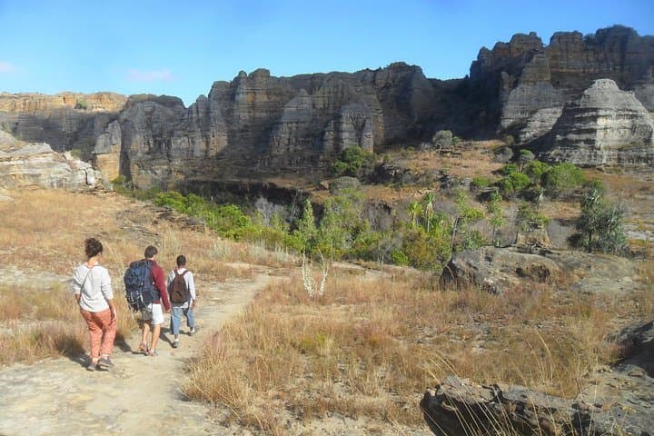 RN 7 Southern Road Trip: Antananarivo to Ifaty via Ranomafana and Isalo photo 6