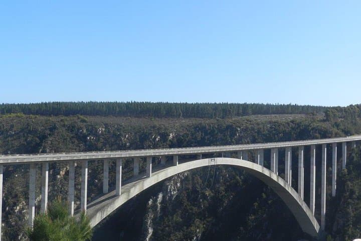 Garden Route Adrenaline: Ziplines, Monkey Sanctuaries & Bloukrans Bungy photo 3