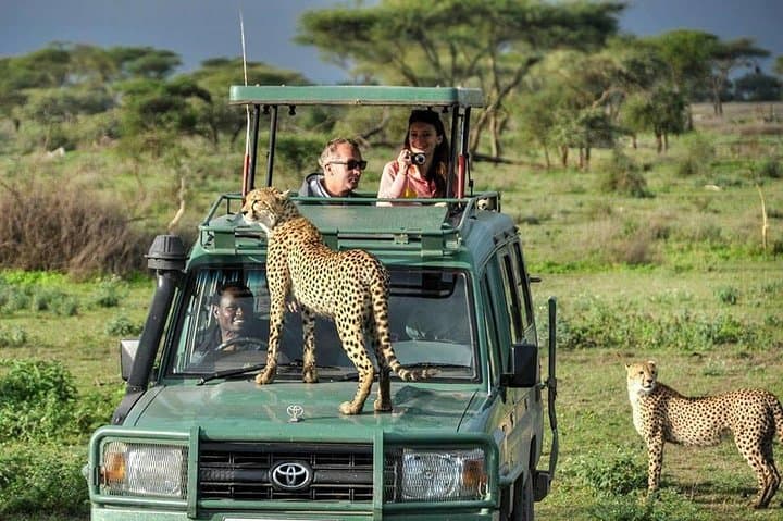 8-Day Masai Mara Wildebeest Migration Safari: Best Time, Itinerary & Tips photo 5